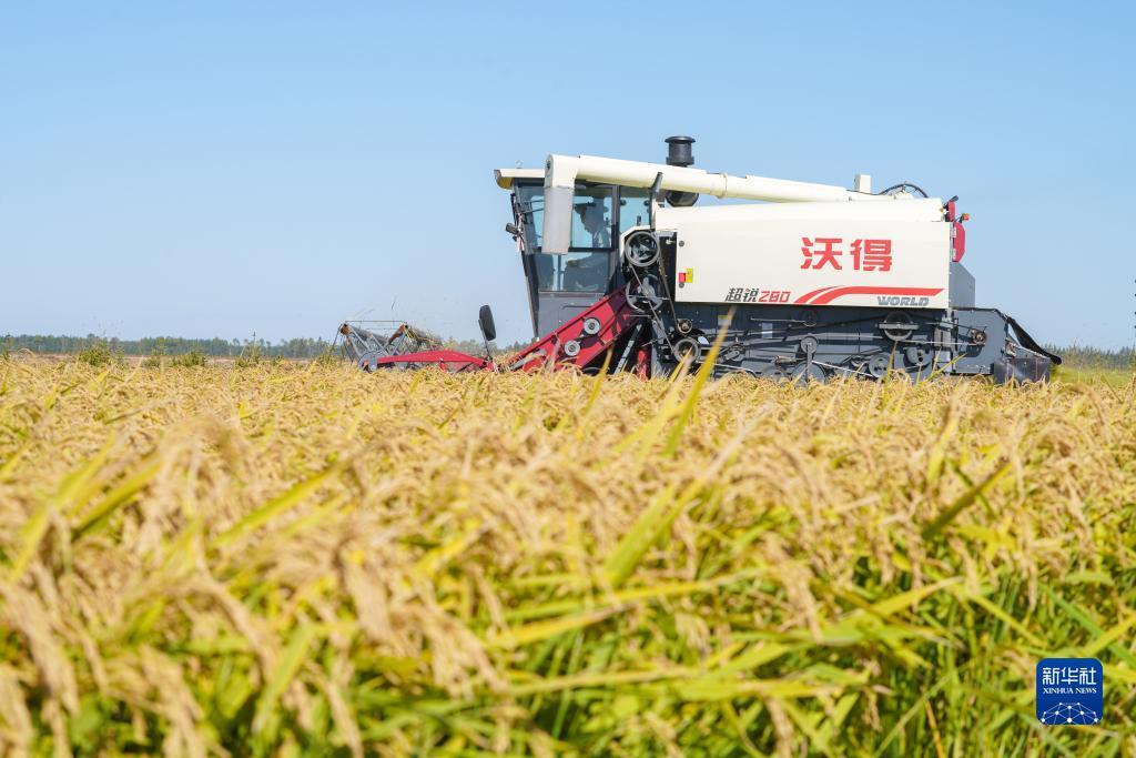 钱塘注册